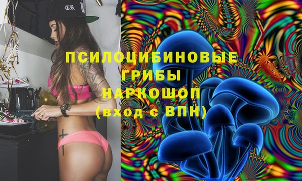 прущая мука Бронницы