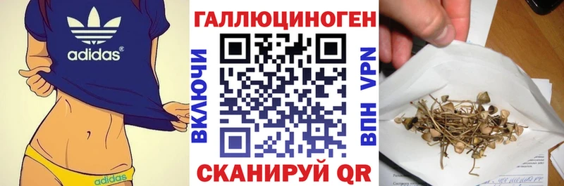Псилоцибиновые грибы Cubensis Губаха