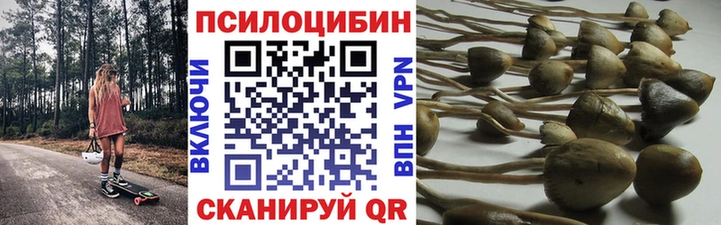 Псилоцибиновые грибы ЛСД  Губаха 